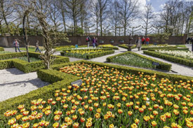 2- of 3-daags Keukenhof Arrangement_2