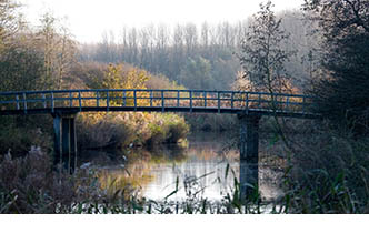 Omgeving Spaarnwoude en Velsen-Zuid